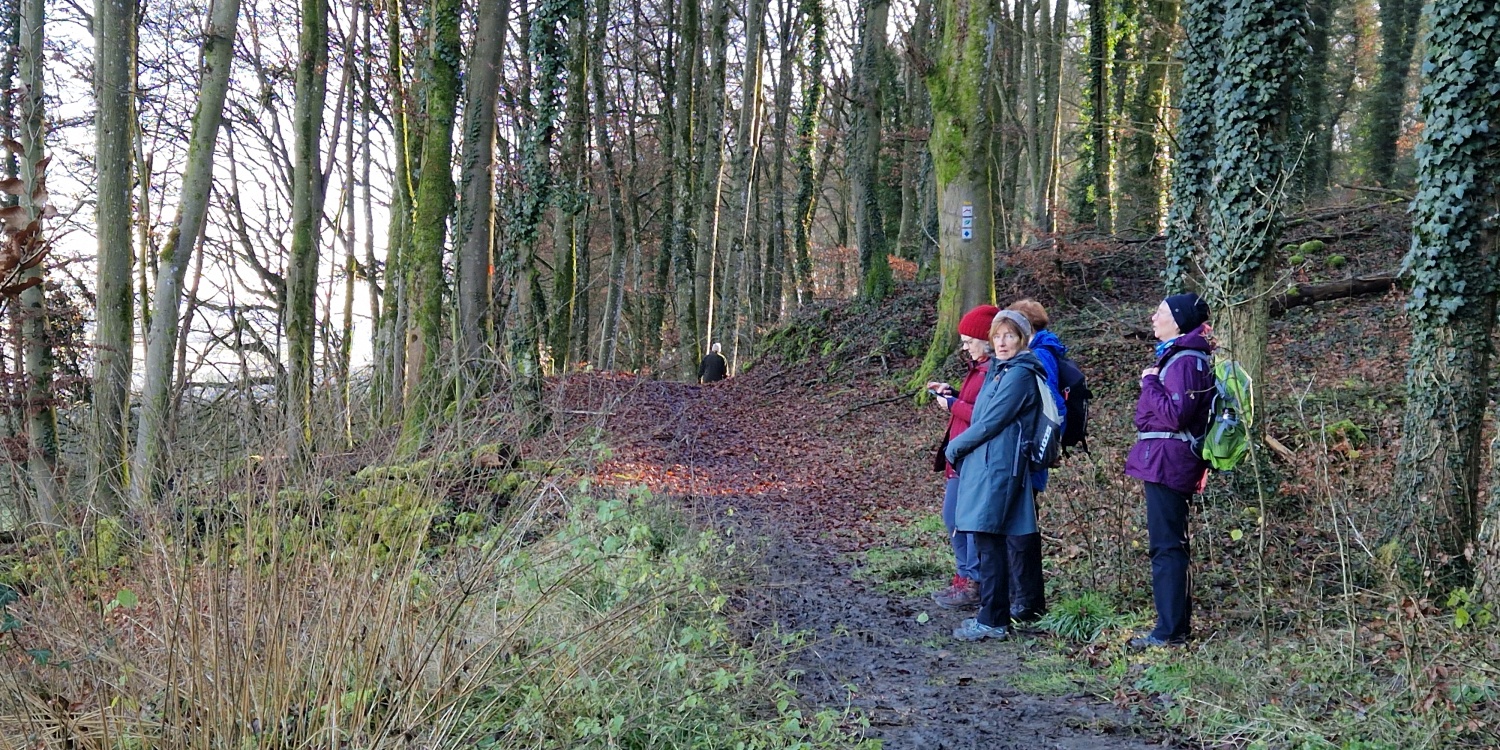 Eifelverein Trier Startseite